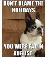fat - holiday meme.jpg