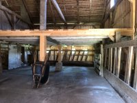 IMG_1788a.jpeg
