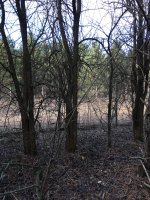 IMG_0664.JPG