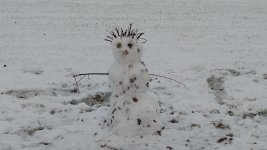 IMG_20211228_163420683.jpg
