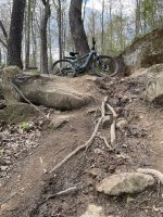 Biking - 1.jpeg