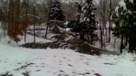 IMG_20220105_130538.jpg