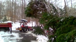 IMG_20220105_130735.jpg