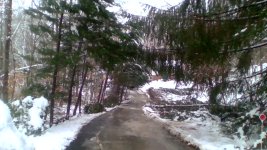 IMG_20220105_130940.jpg