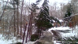 IMG_20220105_131022.jpg
