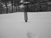 Winter 2015.jpg