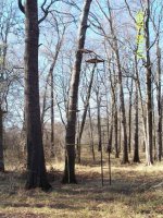 deerstands1s.JPG