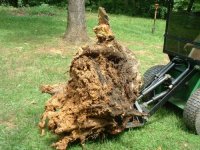 899949-upstump14 (500 x 375).jpg