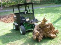 899952-upstump19 (500 x 375).jpg