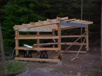 wood shed 02.JPG