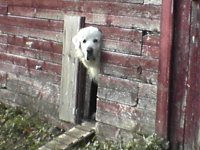 DSC00011.JPG