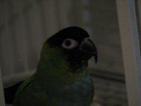 900052-IMG_0034.JPG
