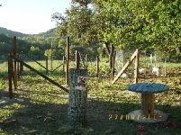 TBN Goats and Goat Pen Pics5.JPG
