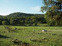 TBN Food Plot Pics1.JPG