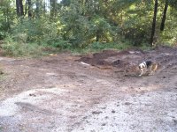 culvert 3.JPG