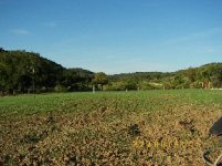 TBN Food Plot Pics3.JPG