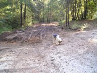 culvert 4.JPG