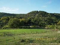 TBN Food Plot Pics8.JPG