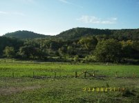 TBN Food Plot Pics9.JPG