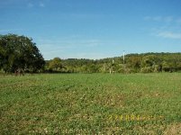 TBN Food Plot Pics13.JPG