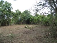 IMG_0166 After.JPG