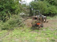IMG_0179 after.JPG