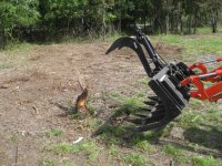 IMG_0186 before stump.JPG