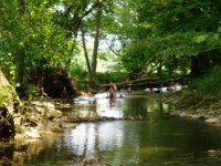 kids in the creek.jpg