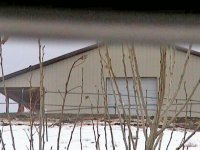 barn.jpg