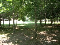 100_1534.JPG