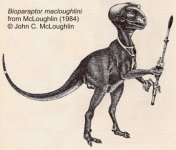 dino.jpg