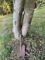 IMG_2083.jpeg