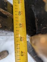 PXL_20220313_200050976.jpg