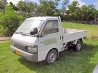 mini_truck.jpg