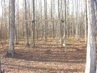 Swing 4.jpg