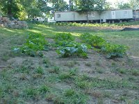 902116-MVC-067S.JPG