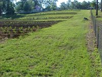 902134-MVC-079S.JPG