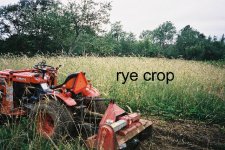 farm2.JPG