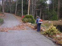ML leaf blowing.JPG