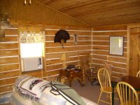 Cabin 010.jpg
