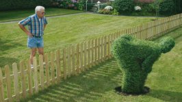 903734-Neighbour_revenge.jpg