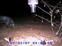 Game Cam 135 (Small).jpg