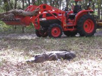 Nov Gator 2.jpg