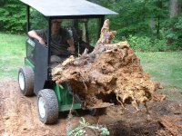 upstump5.JPG