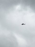 DAF10EFA-3ED7-4C28-8F89-B485535F9AD0.jpeg