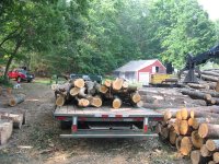 Picking up Firewood in Hollis 003.JPG