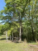 IMG_7224.JPG