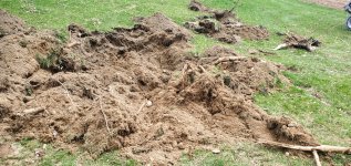 stump_2_hole_10ftx3ft.jpg