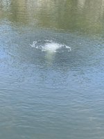 E1A793E1-113B-43DD-86C8-A7177741E907.jpeg
