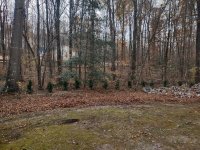 IMG_20211120_114450129_HDR.jpg